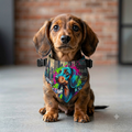 Clip-On Pet Bandana — Colorful Graffiti Dachshund Design